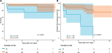 aov repair|Contemporary Results of Aortic Valve Repair for Congenital .